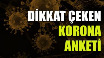 dikkat çeken koron anketi