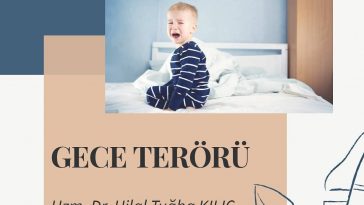 gece terörü