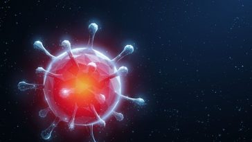 nedir-bu-koronavirus-nasil-yayiliyor-neler-yapmaliyiz-234 koronavirus maskedeposu coronavirus covid-19 korona virus corona tedbirler korunma salgin hastalik test